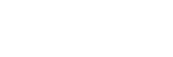 Team Essent
